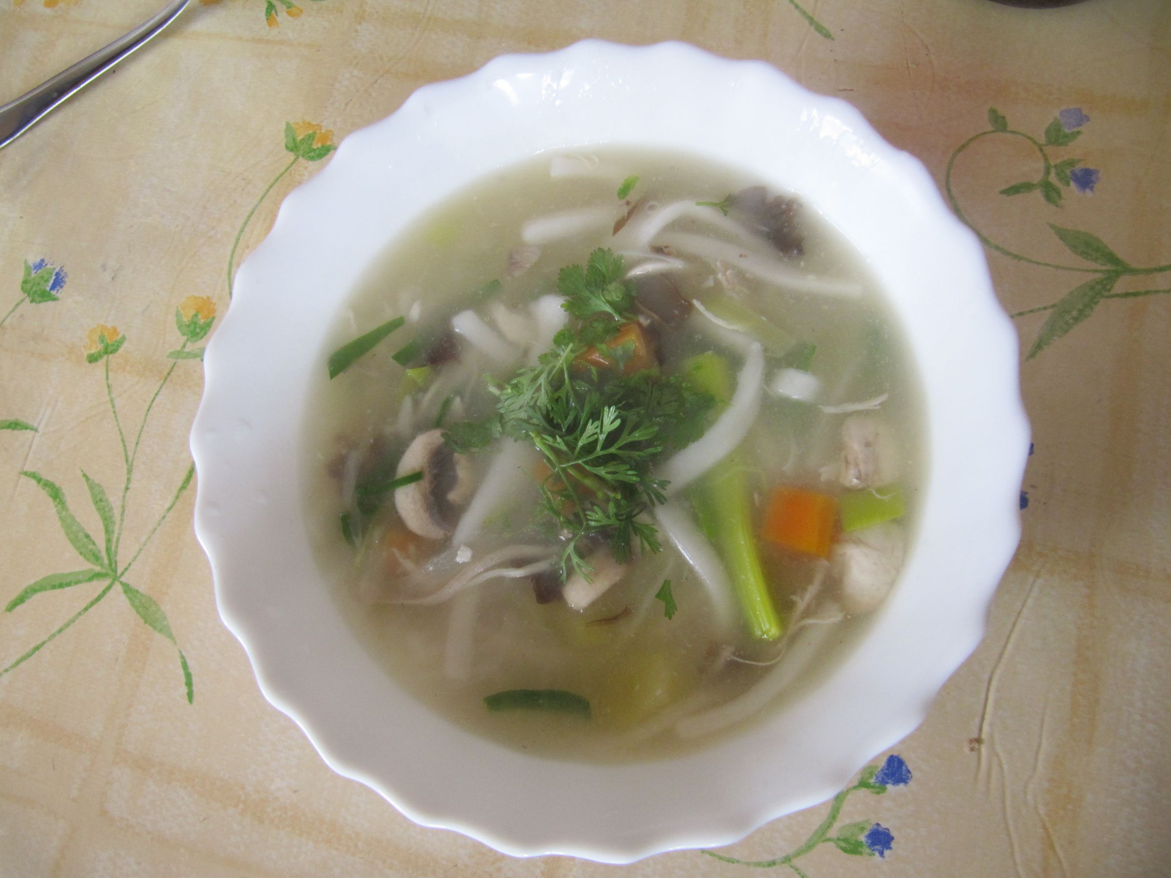 Laotian Chicken and Vegetable Soup