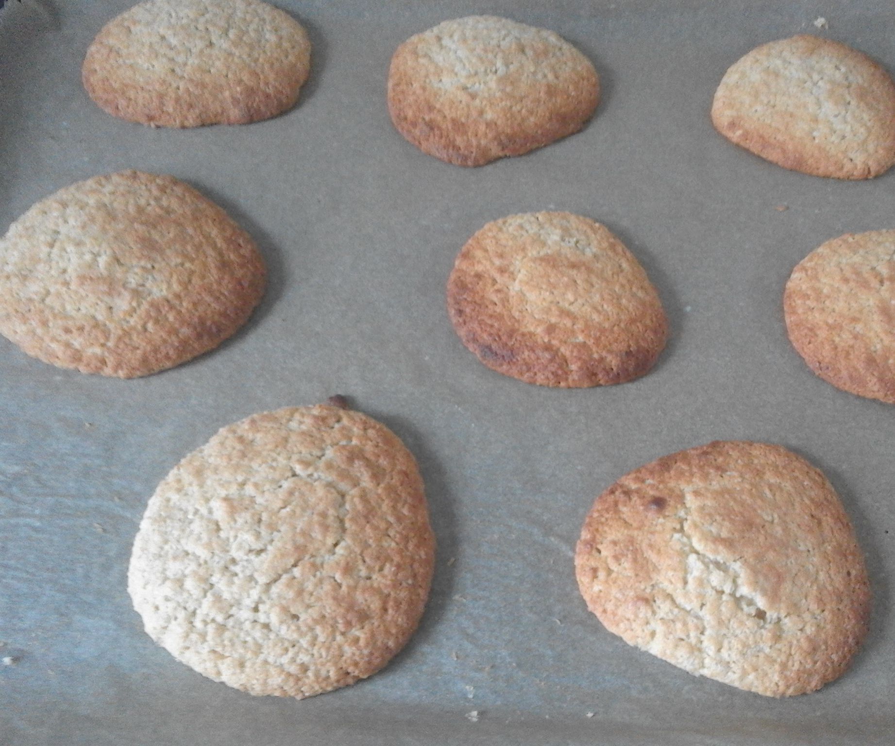 Oat Biscuits 