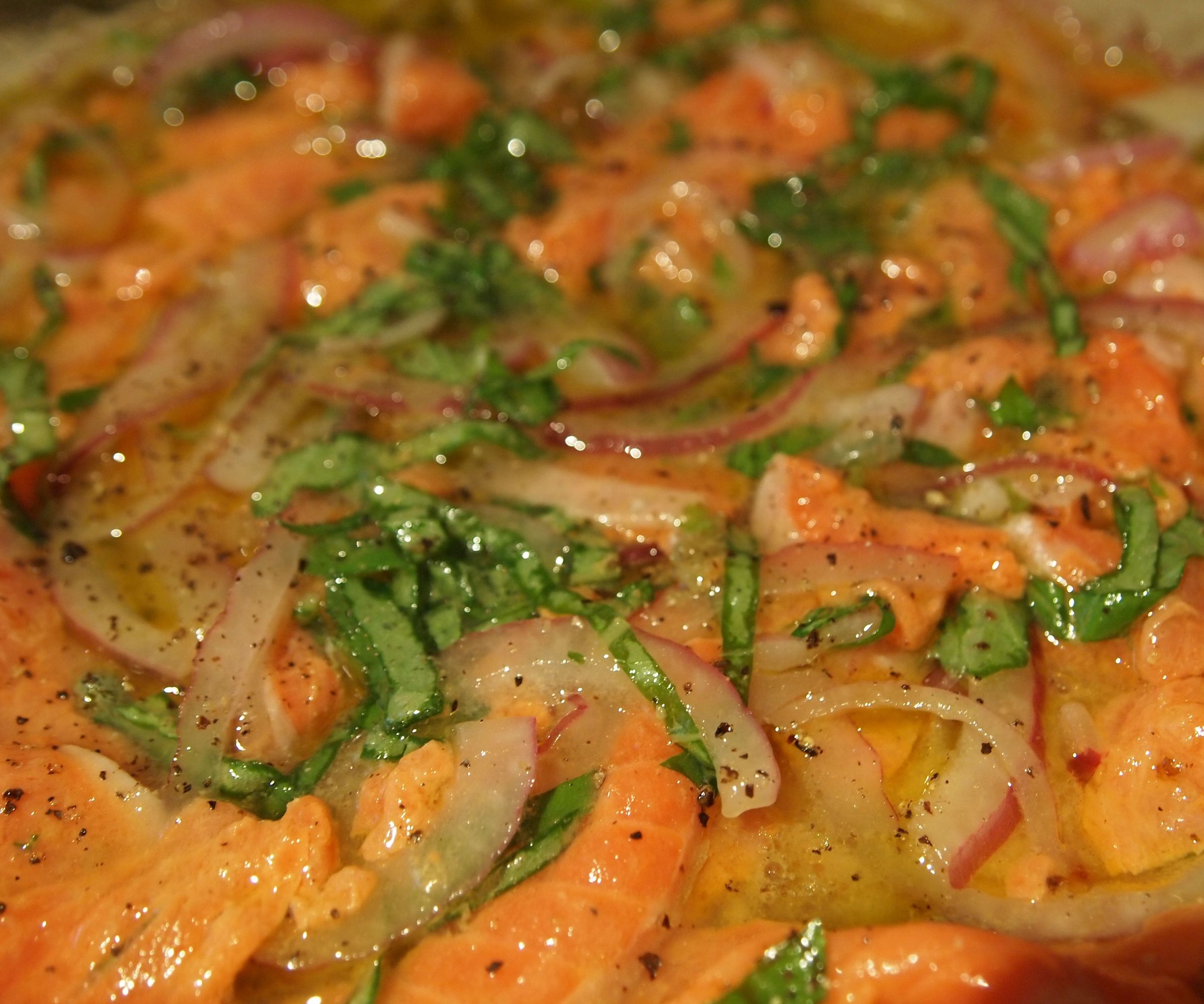 Salmon Carpaccio