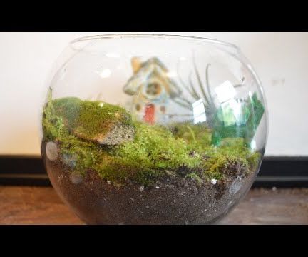 How to Make a Fairy Moss Garden Terrarium