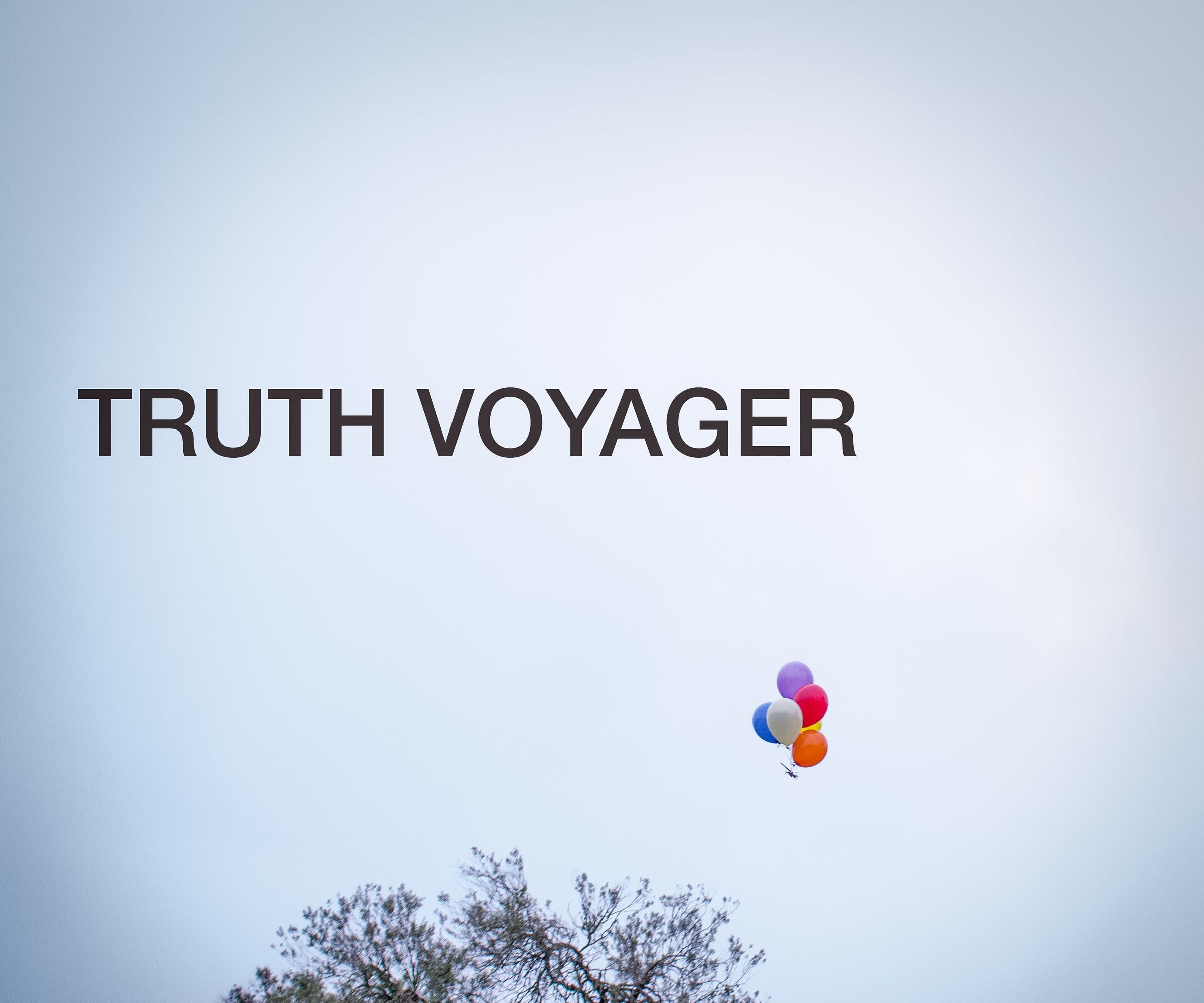 How to Reach the Truth: Truth Voyager