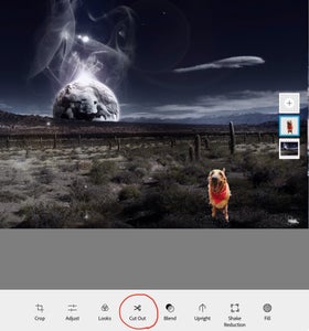 Step 2: Combining & Cropping Your Pictures 