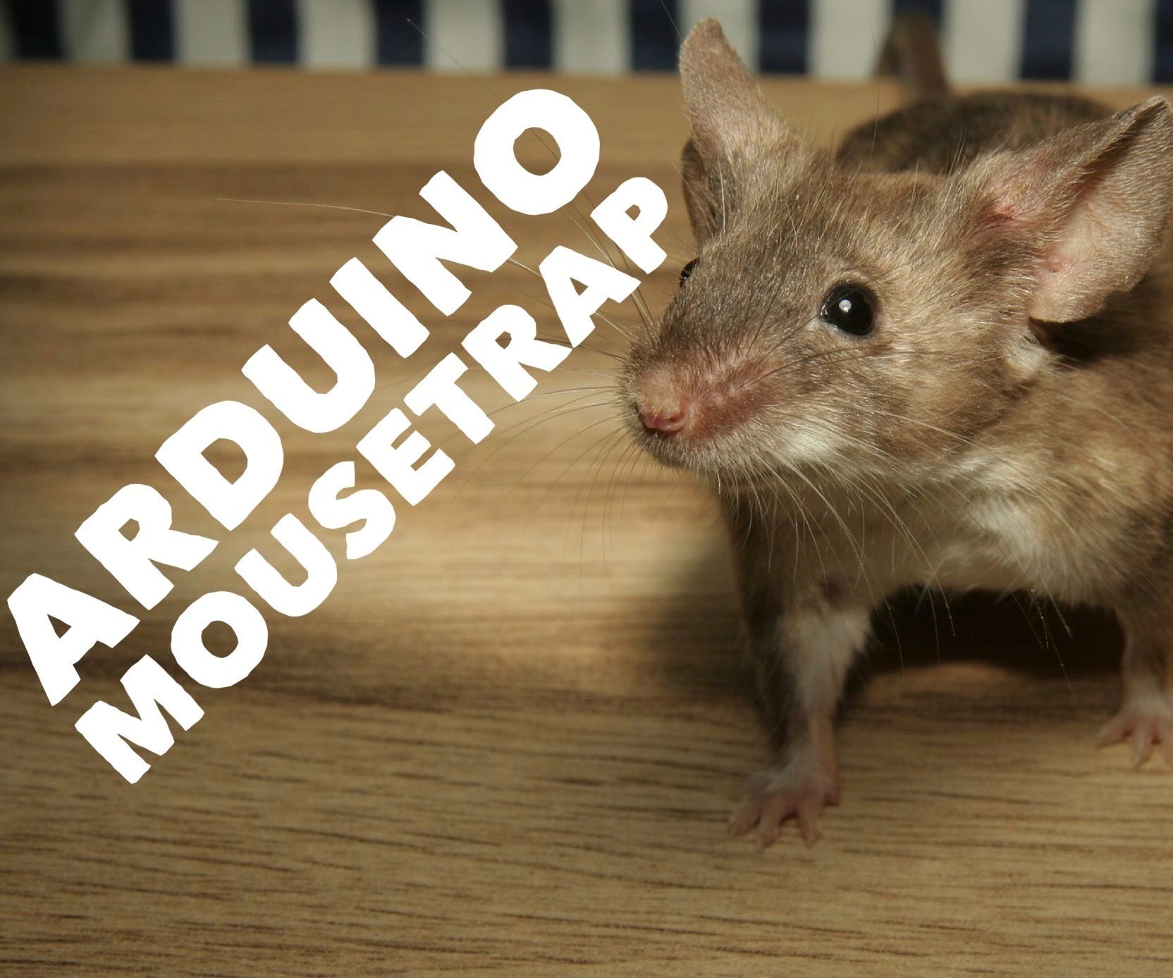 Arduino Mousetrap