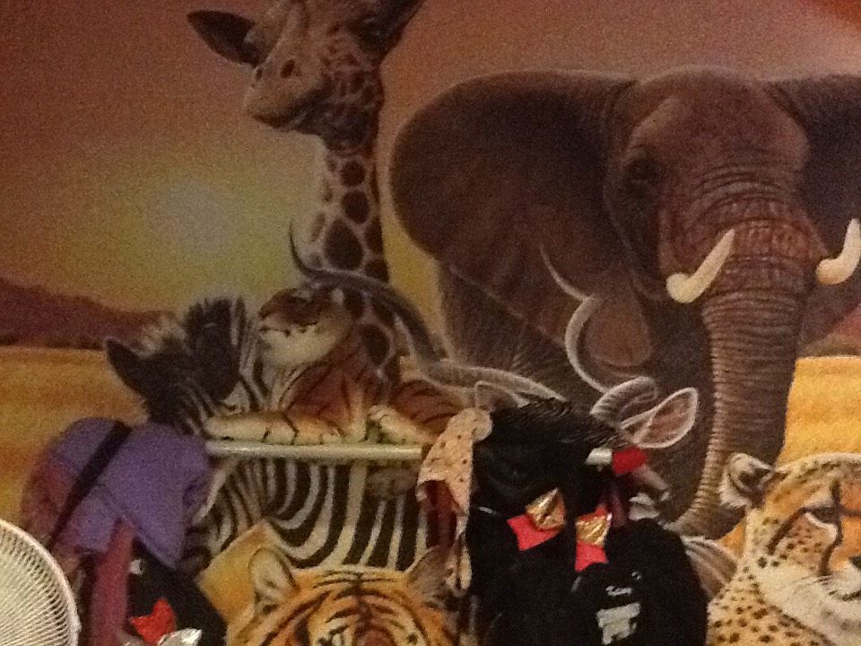 Zoo Room : 10 Steps - Instructables