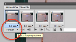 Looping and Cropping