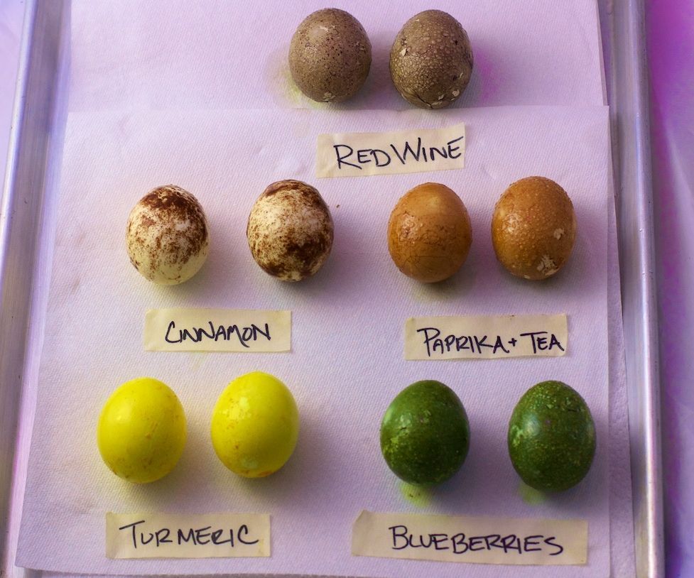Naturally Dyed and Cooked Easter Eggs in 3 Easy Steps