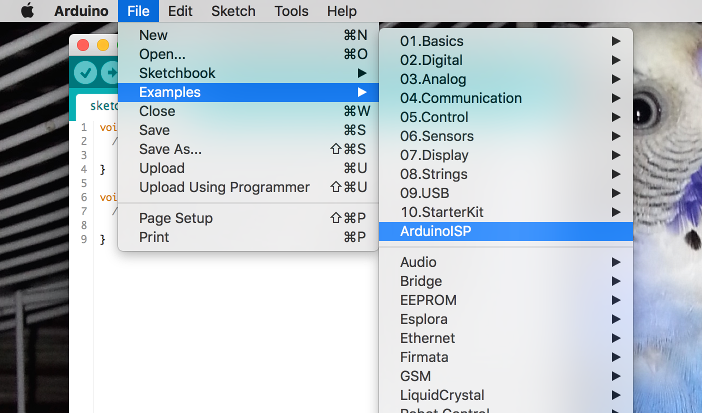 Programming Arduino With Another Arduino : 3 Steps - Instructables
