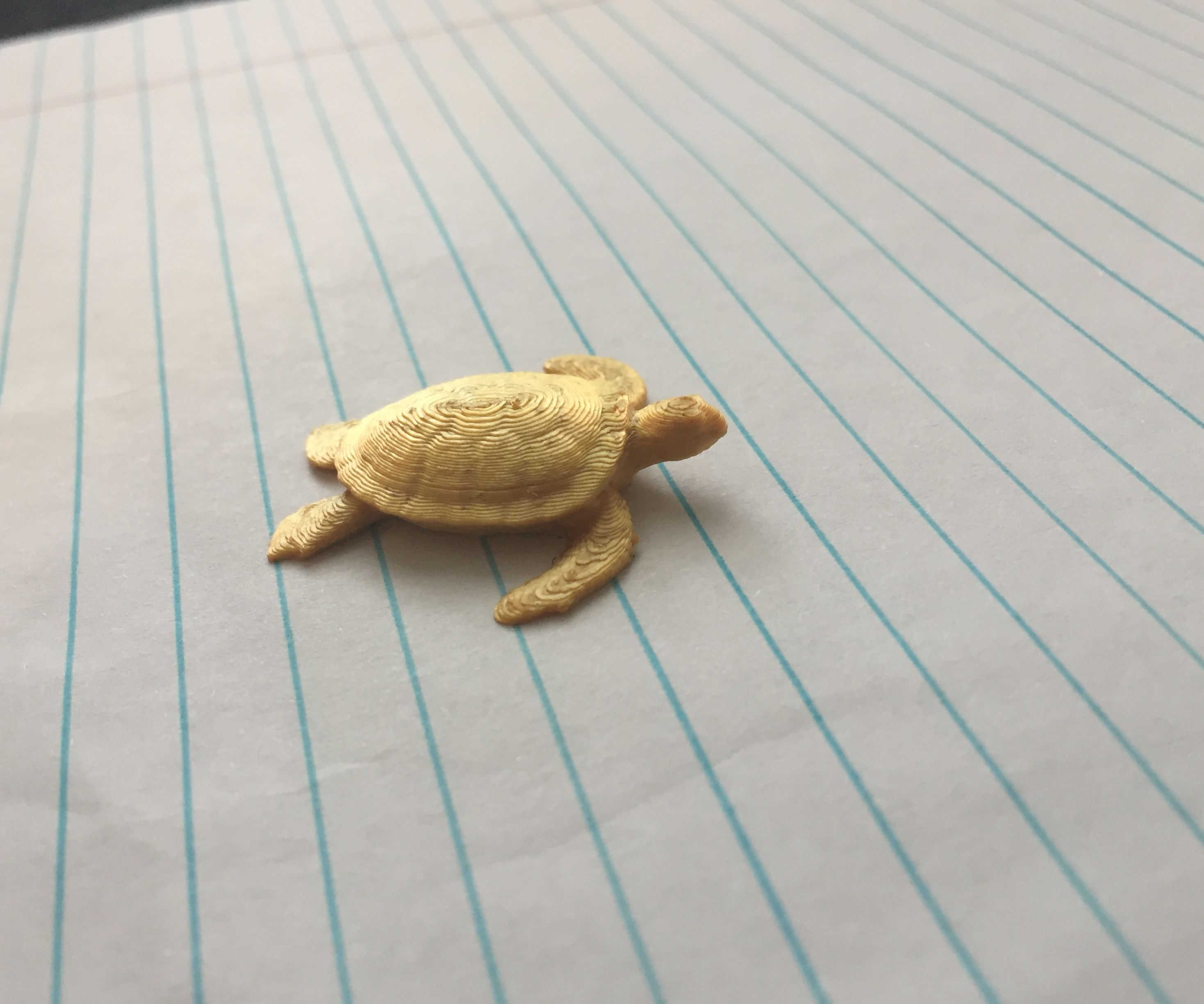 Custom Magnets With 3d Printing!!!