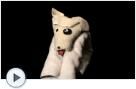 Amazing Dog Towel Wrap