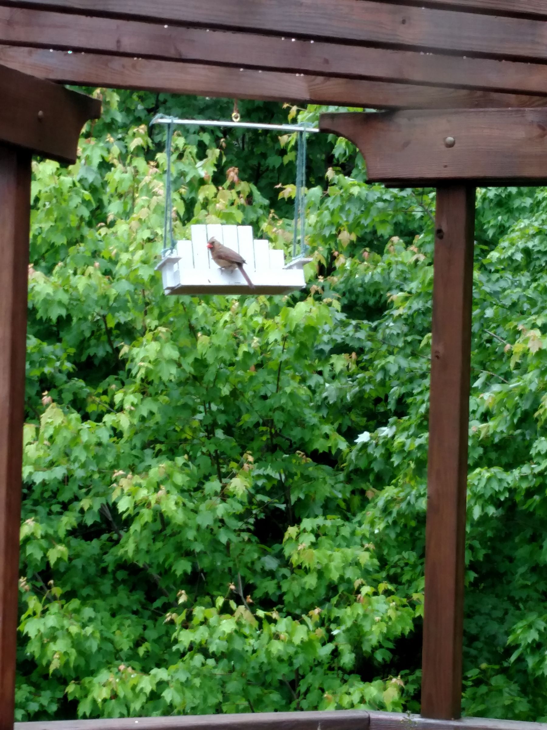 Porch Swing Bird Feeder 7 Steps (with Pictures) Instructables