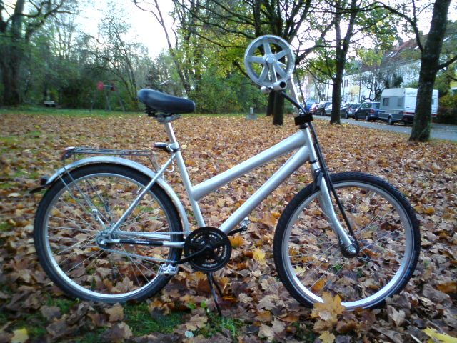 simple rowing bicycle "la remarianette"
