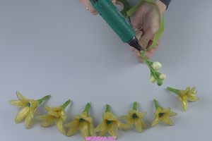 Bu Eğitimi İzlemek Çok Harika ve Bu İşin Ne Kadar Yenilikçi Olduğunu Seviyorum.