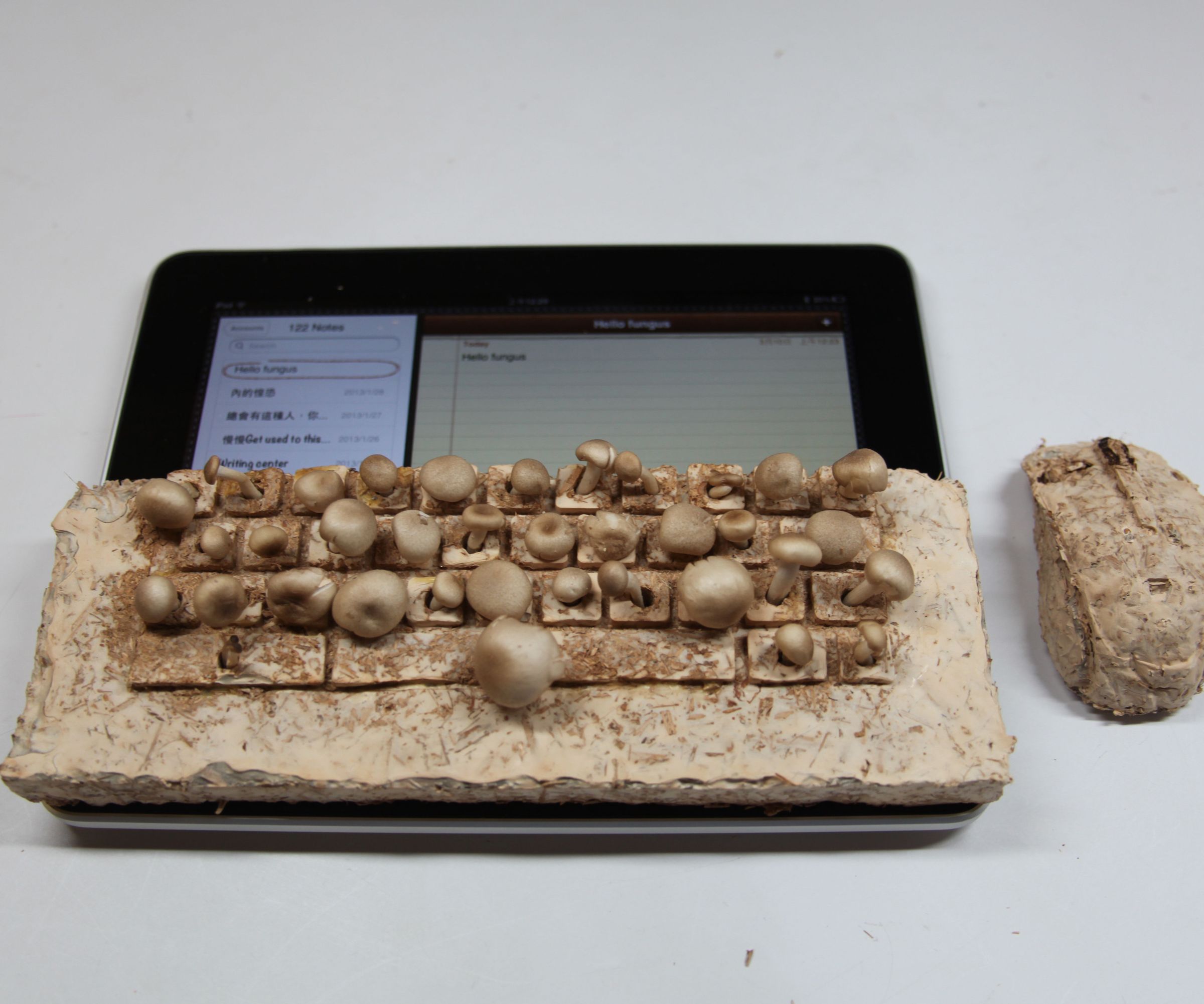 Mushroom IPad Keyboard