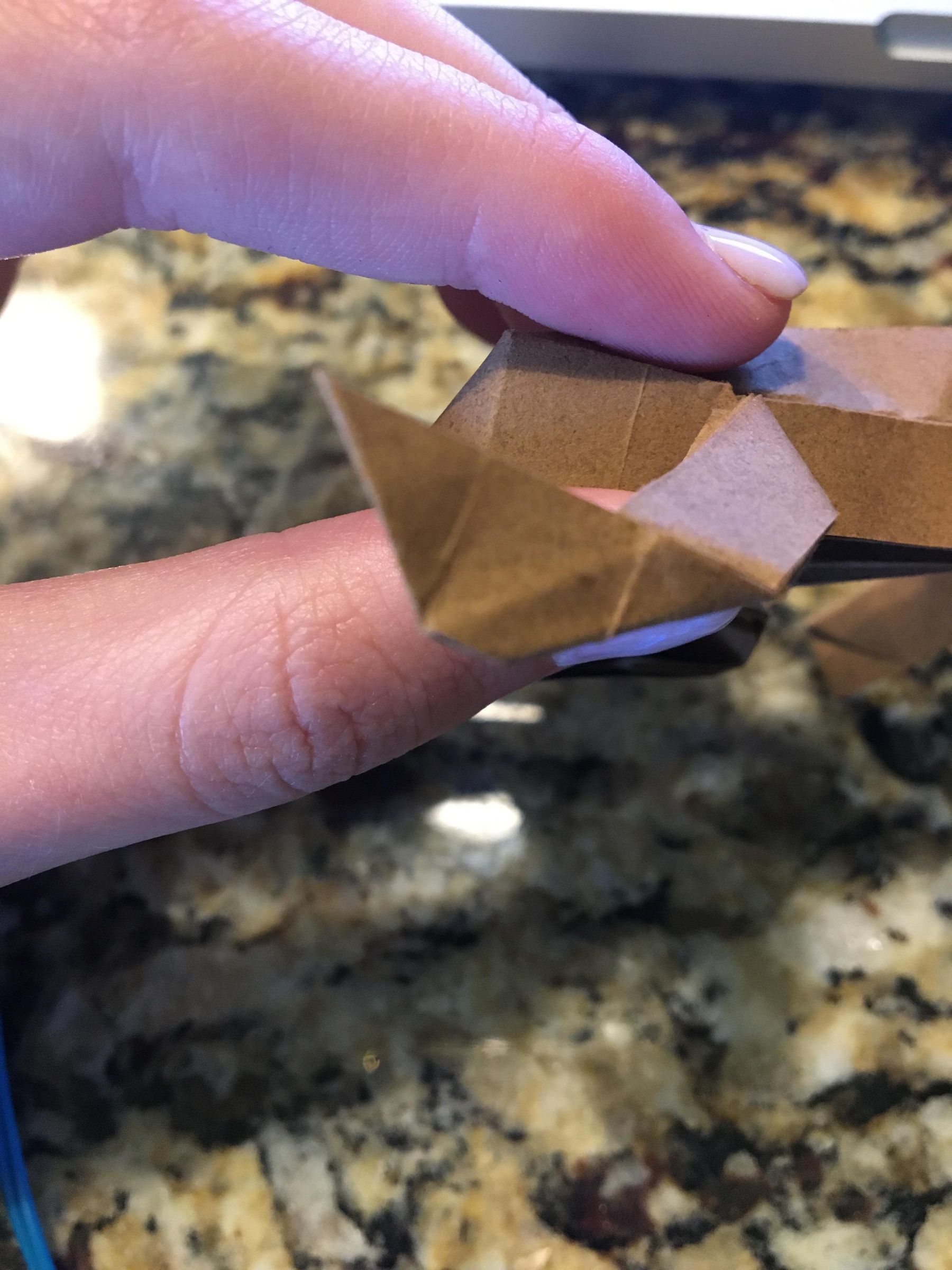 Chocolate Frog Box With Origami Chocolate Frog and Wizard Cards! (Harry