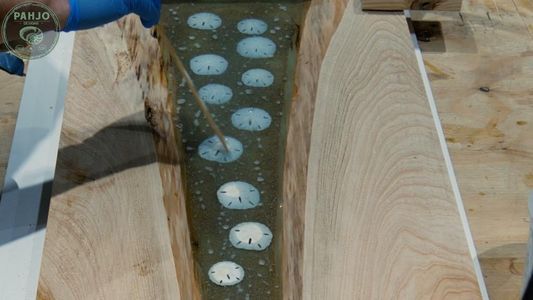 Add Sand Dollars