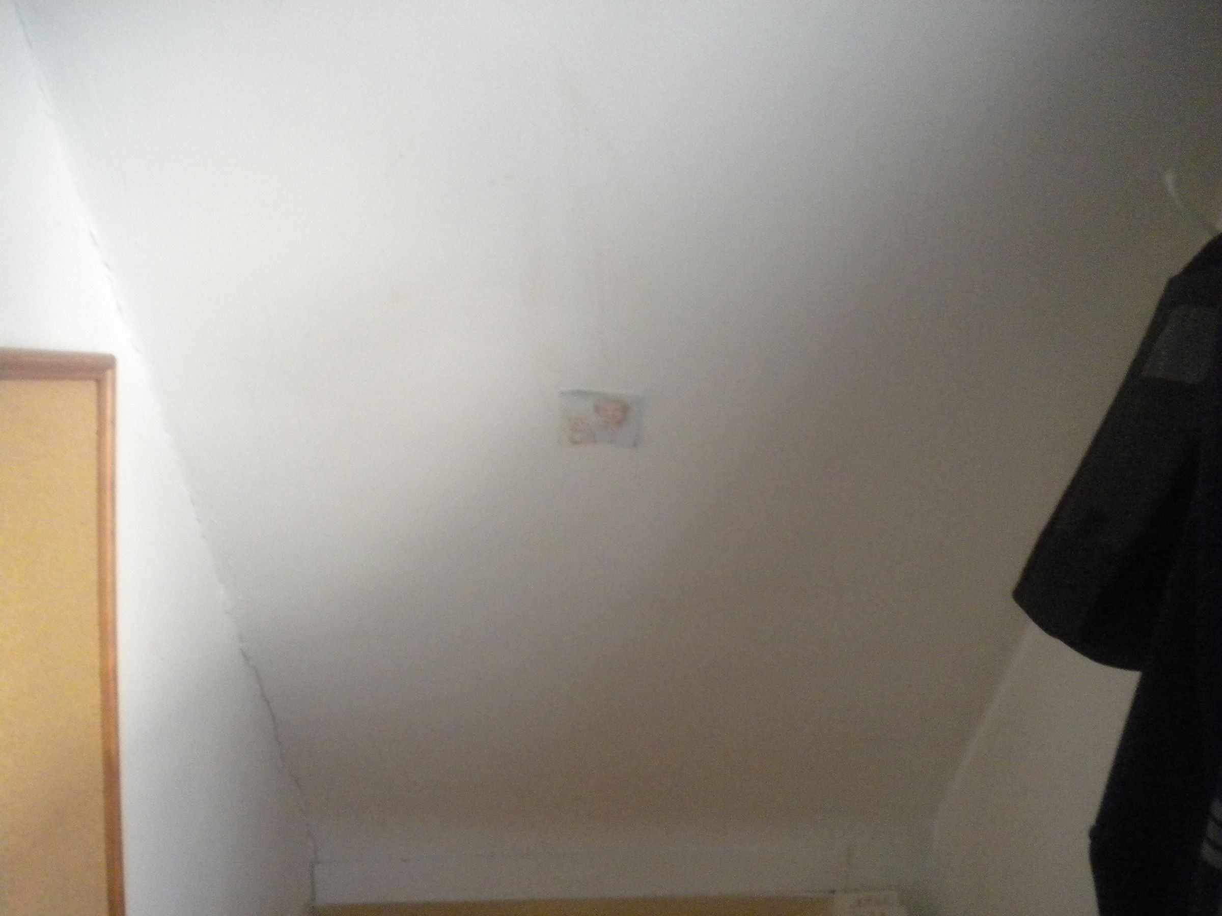 APRIL FOOLS PRANK: ATTACK OF THE BETTYS!