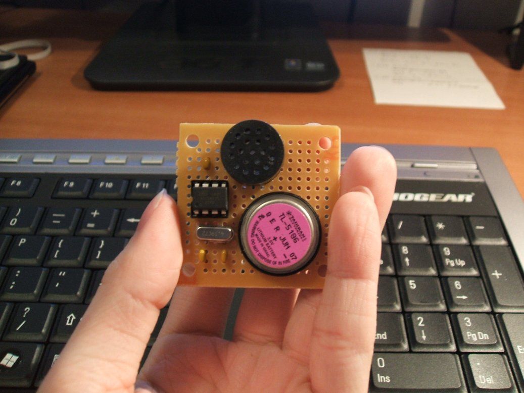 The Raven, high-pitched torture