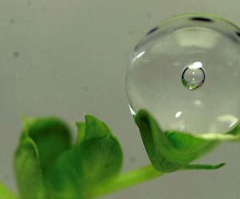 Smart Plant Growth Chamber