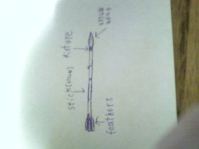 The Professional Arrow