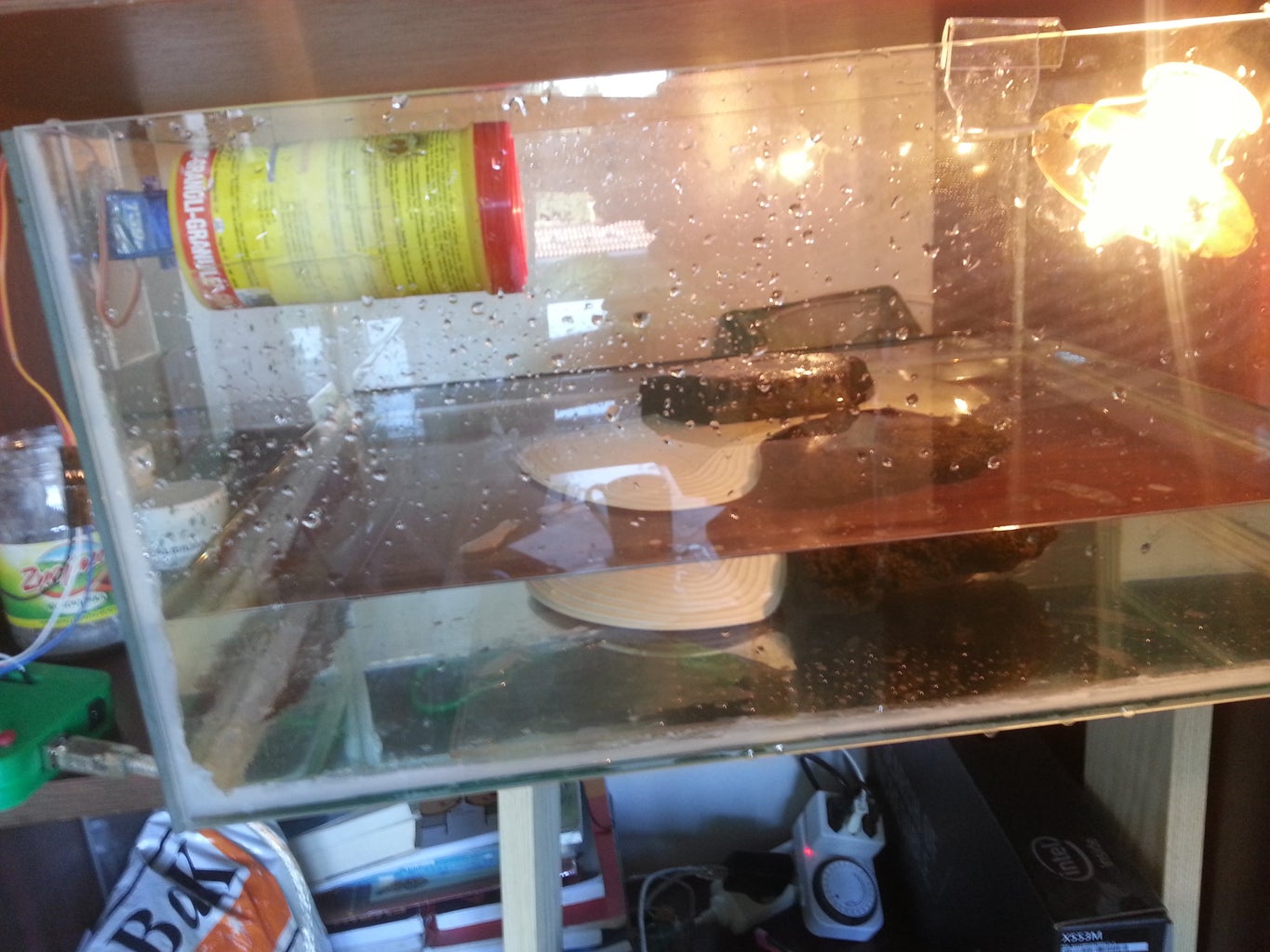 Auto turtle feeder Clearance