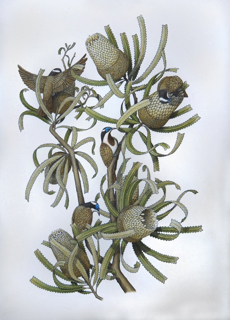 Applying Colour With Watercolour Washes