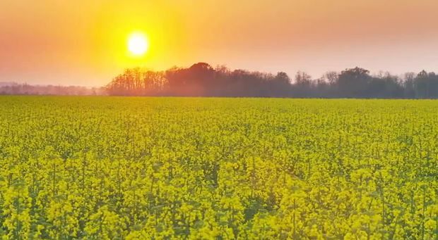 Sustainable Farming