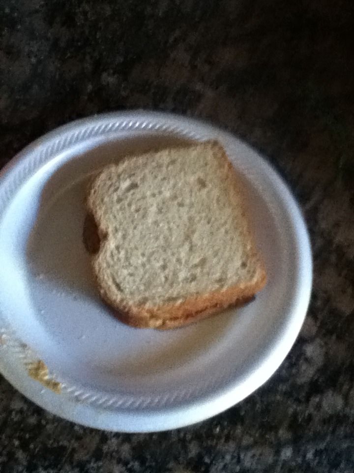 Peanut Butter and Jelly Sandwich