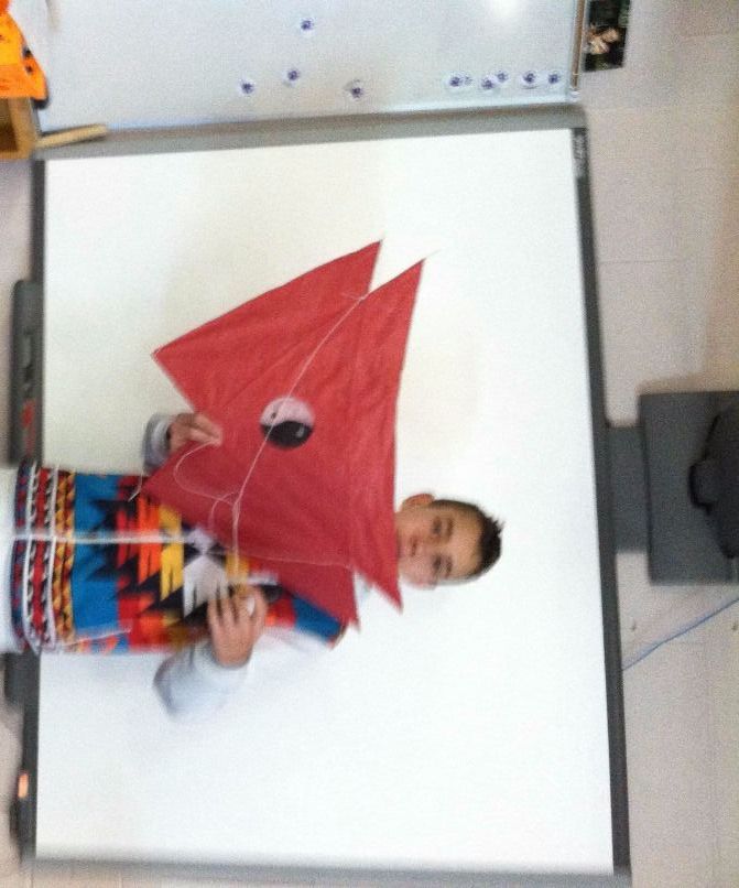 Barn Door Kite by Tim and Wil