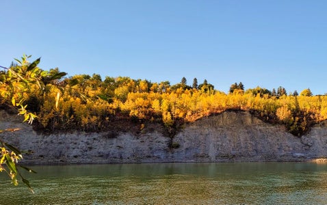 The 5 C's- How to Survive the Wilderness