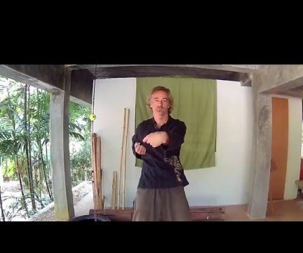Wing chun Siu NimTao