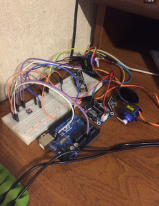Electronics and Its Programming for the Back Module (RIG)