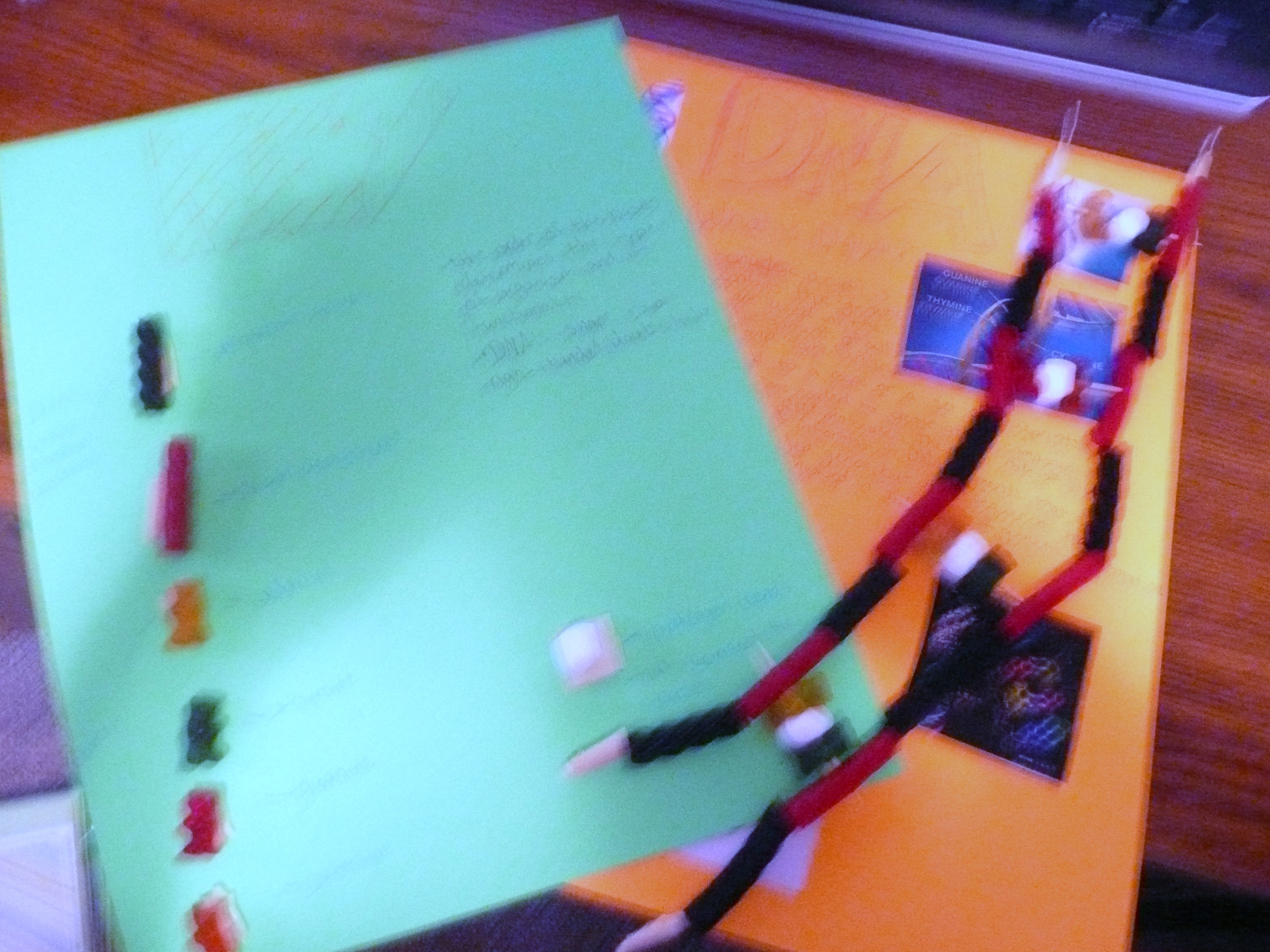 How to Make a DNA Model Out of Candy