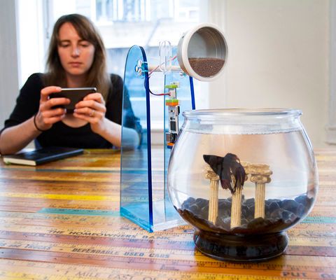 LittleBits Remote Pet Feeder