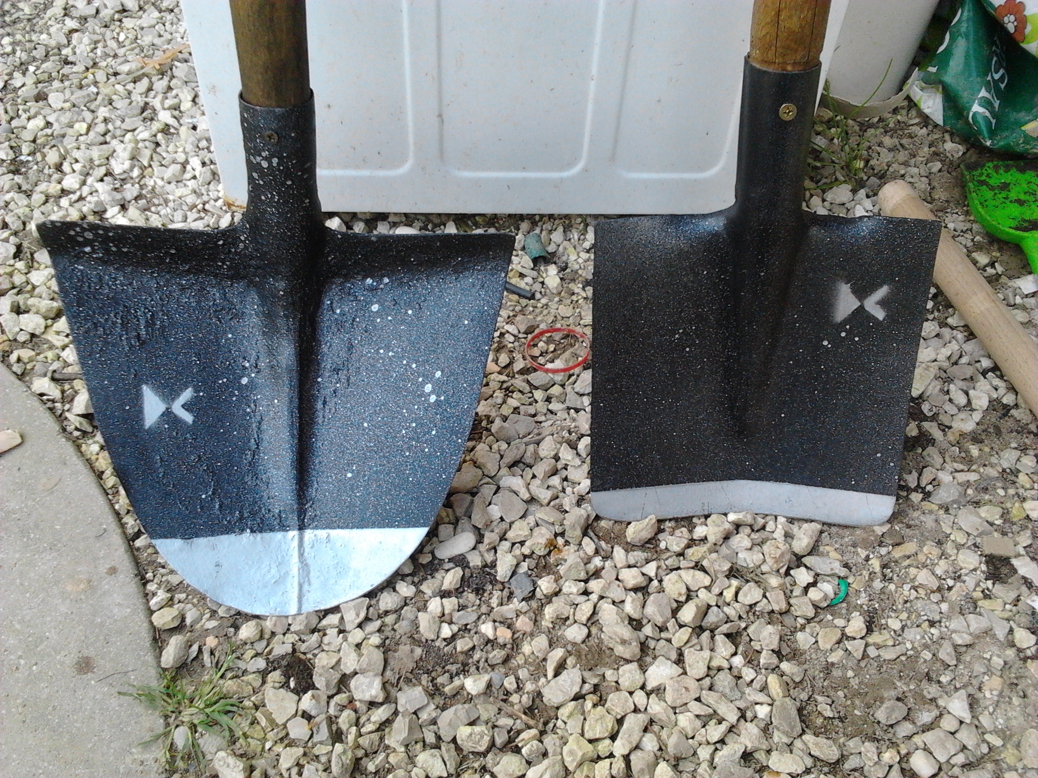 Who Well Starts ...(waiting for Spring)