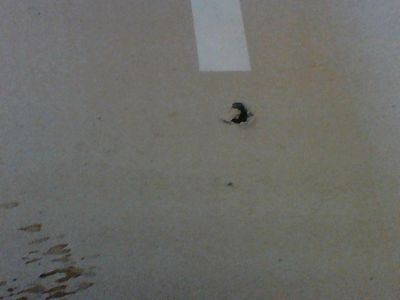 Step 2