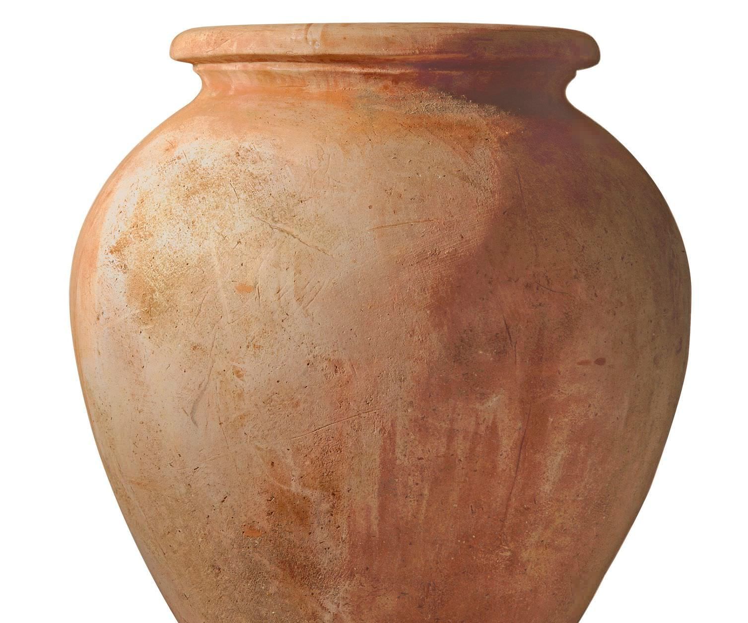 Smart Vase