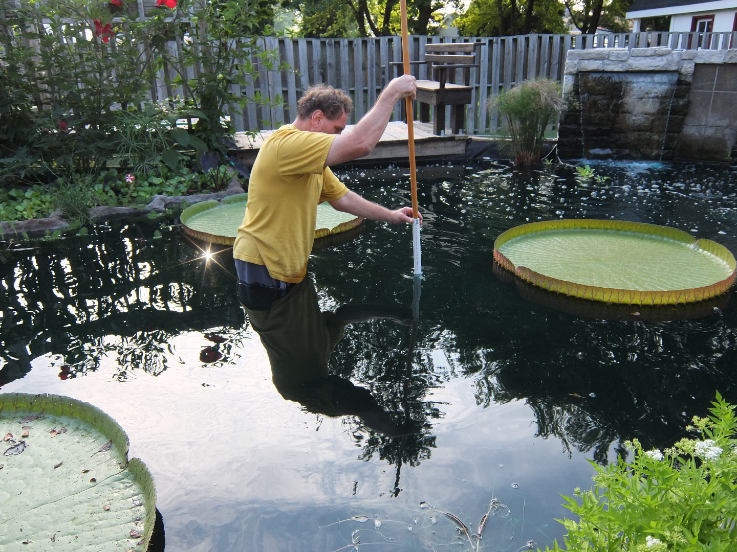 Pond Plant Fertilizer Tablet Insertion Tool 3 Steps Instructables