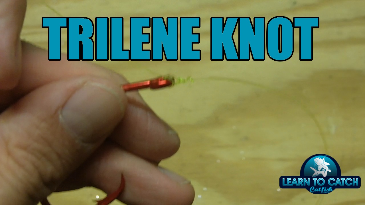 The Trilene Knot
