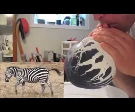 How The Balloon Got Its Stripes. 