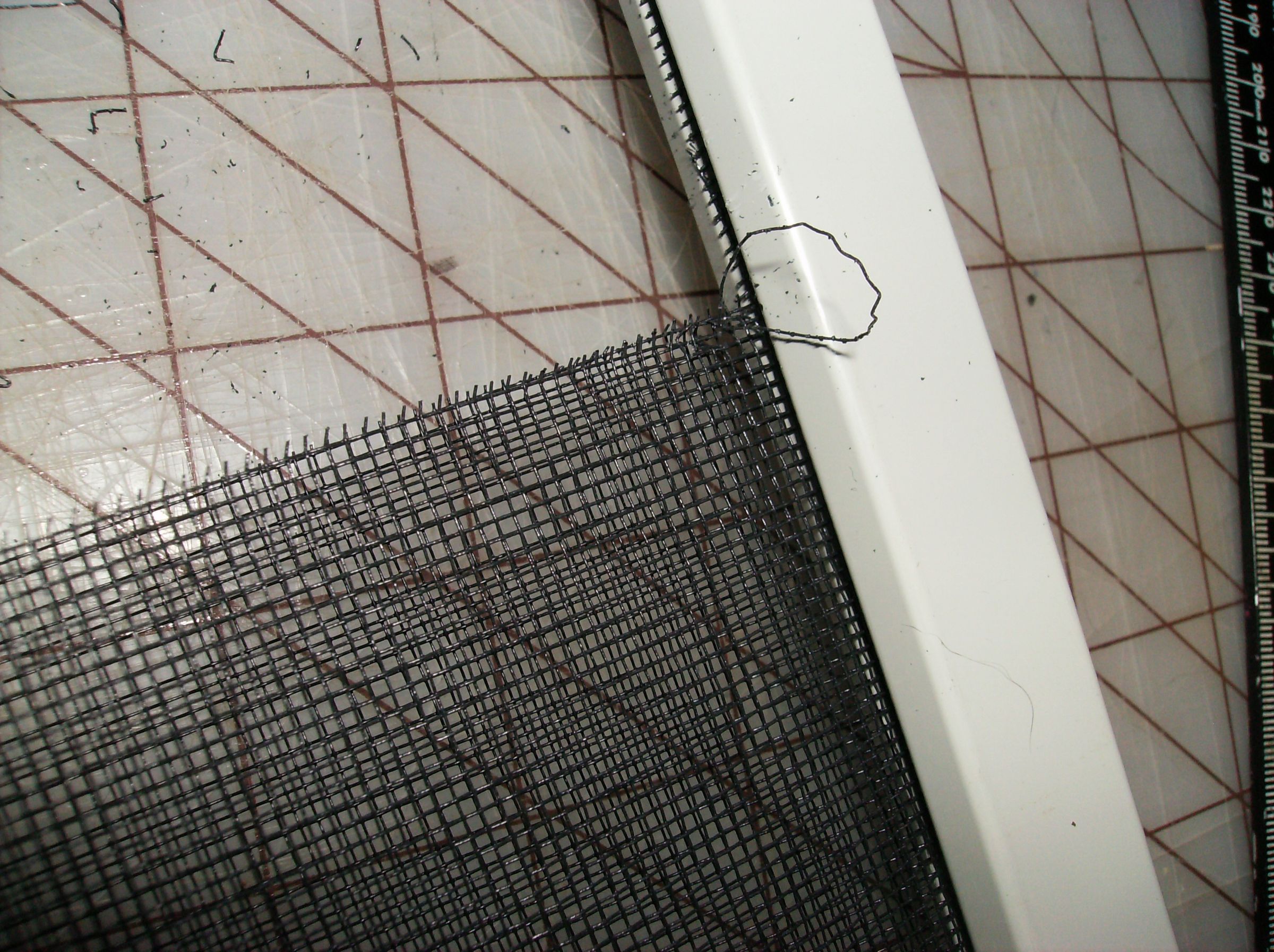 How to Make a Cat Entryway in a Removable Window Screen 10 Steps