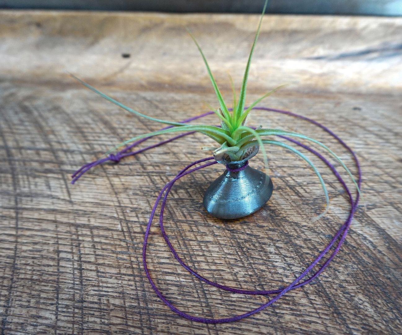 3D Printed Air Plant Necklace