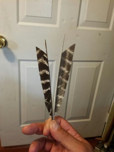 Arrow Fletching: Southeastern Two Fletch Method : 11 Steps (with ...