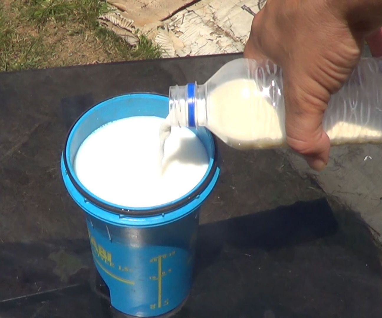 Fungicida Con Leche Para Combatir Hongos