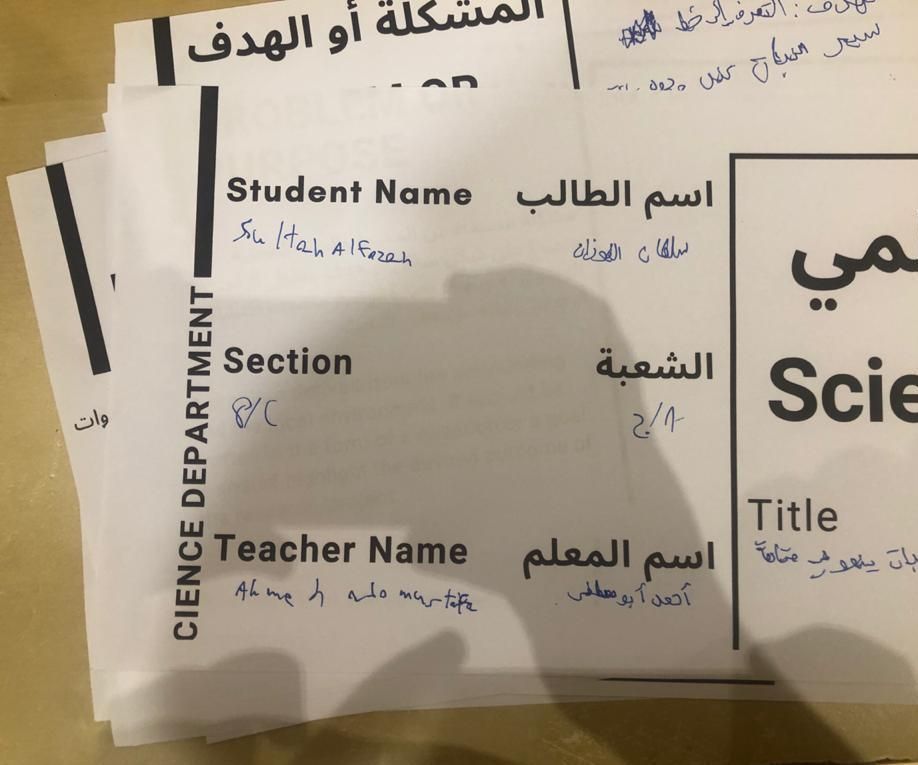 نبات ينمو في متاهة