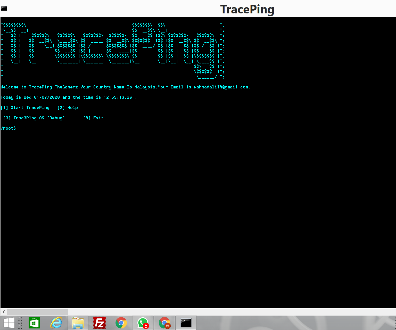 TracePing