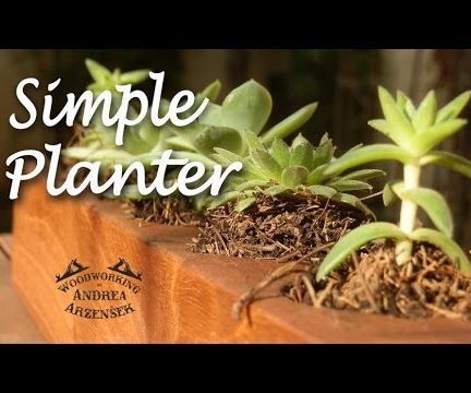 Cedar Succulent Planter