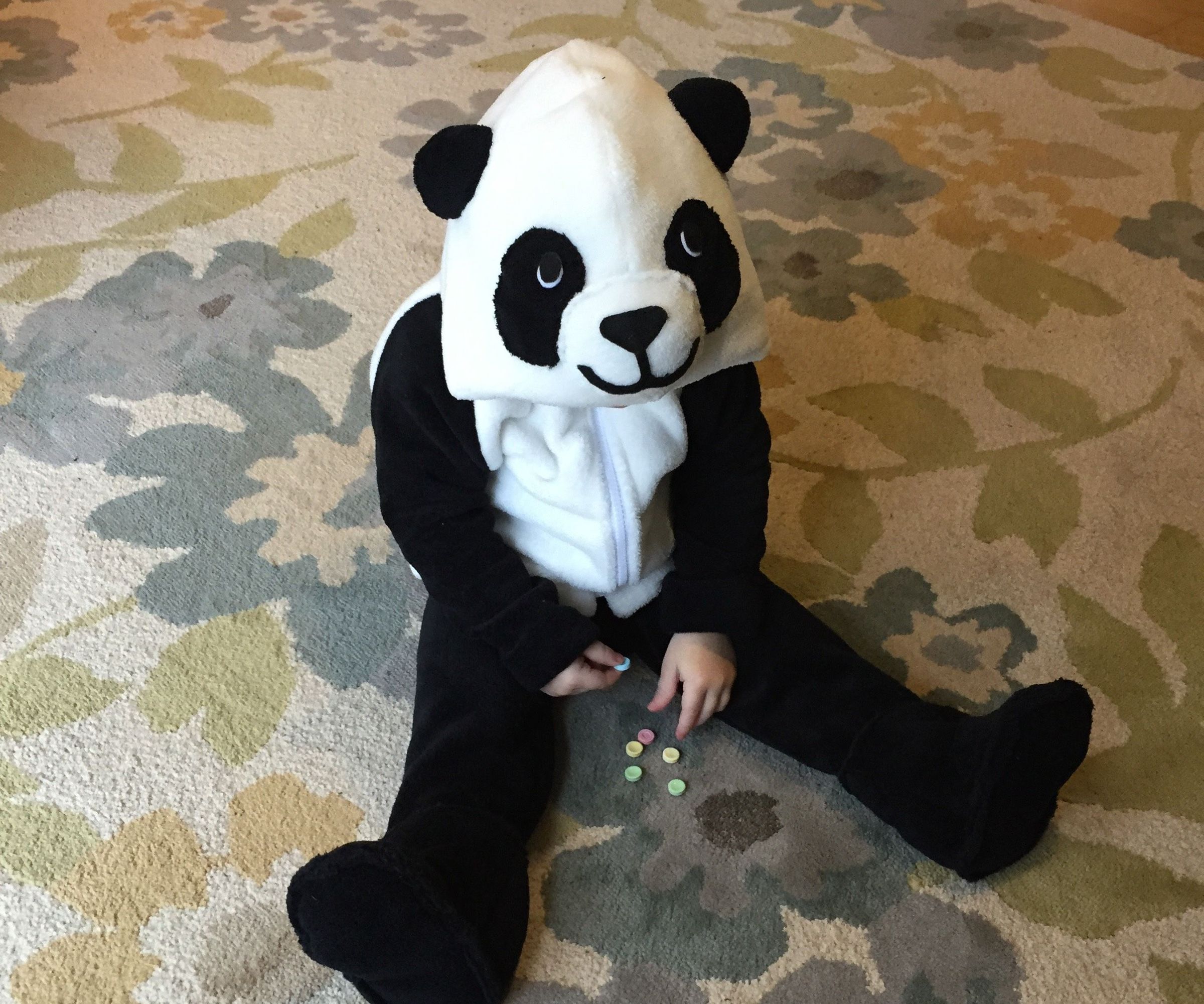 Warm, Cuddly Panda Hoodie and Heated Booties