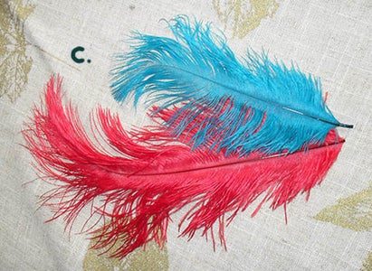 A Bit About Feather Types