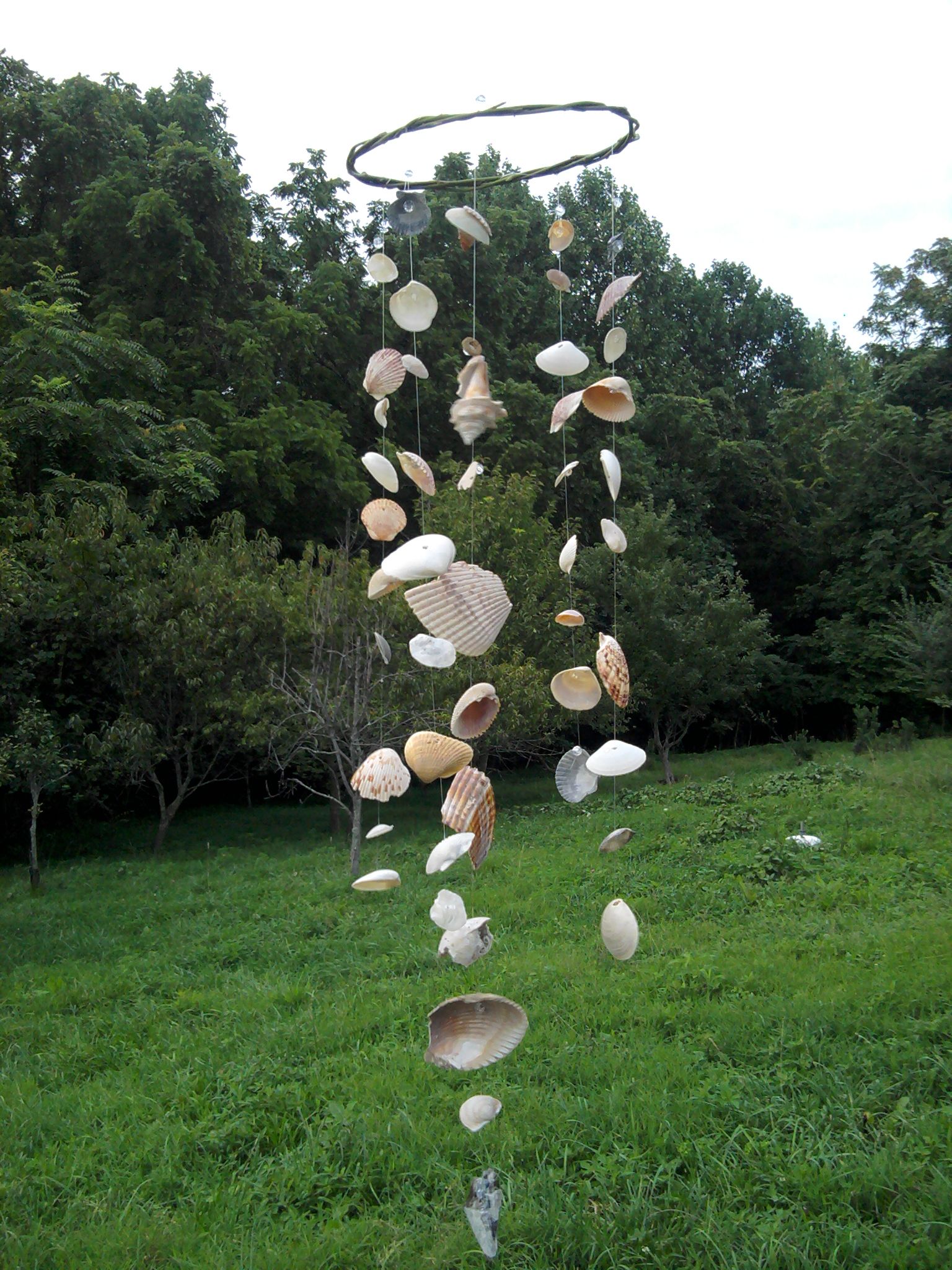 Seashell Windchime