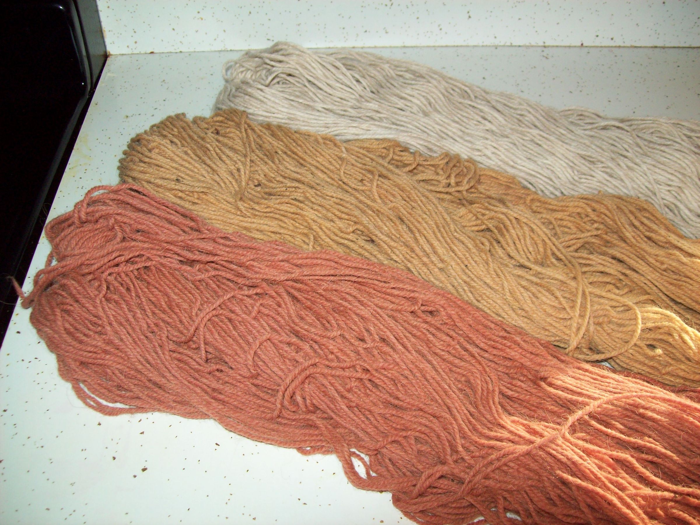 Natural Dye From Pokeweed 6 Steps (with Pictures) Instructables